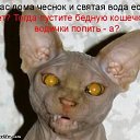 ���� �������, ����, 37 ��� - ��������� 12 �������� 2012