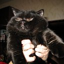 ���� ����, ������, 58 ��� - ��������� 19 ������ 2009 � ������ ���� ��������