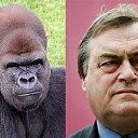 ���� ������, ������, 27 ��� - ��������� 23 �������� 2011 � ������ ���� ����������