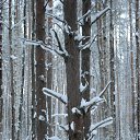 ������� �������� �� ������� �������� �������