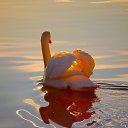 ���� �����, ������, 51 ��� - ��������� 13 ������� 2011 � ������ ���, ��� ������������