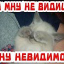 ���� Crpups, ������, 28 ��� - ��������� 4 ������ 2011 � ������ �������