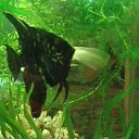  (  ),  , 54  -  26  2010   