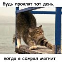 ���� �����, �����������, 41 ��� - ��������� 14 ������� 2010 � ������ ���������� ������� ������