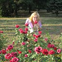 ���� ���, ��������, 42 ���� - ��������� 5 ������� 2011 � ������ ���� ����������