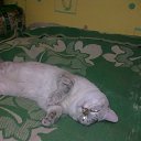 ���� Xorston, ������� - ��������� 7 ���� 2013 � ������ ���� ����������