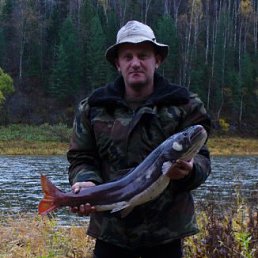 ������, ��������, 56 ���