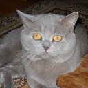 ���� ����, ������ - ��������� 22 ����� 2011