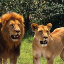 ���� ������, ������, 50 ��� - ��������� 3 ������� 2011 � ������ ���� ����������