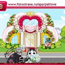 ���� ���, ������, 33 ���� - ��������� 8 ��� 2011 � ������ �PetLove�