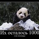 ���� Angel, ���������, 39 ��� - ��������� 3 ������ 2010 � ������ �...�