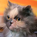 ���� ��������, ���� - ��������� 28 ������� 2012 � ������ ���� ����������