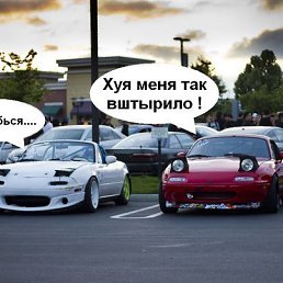 ���� ������, ������, 39 ��� - ��������� 2 ��� 2013