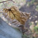 ���� ���������, ���������� - ��������� 23 ������� 2010 � ������ �������������Ż