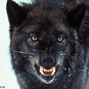 ���� Mistika, ������, 38 ��� - ��������� 18 ������� 2013 � ������ ���� ����������