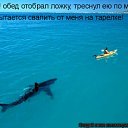 ���� �����, �����-���������, 26 ��� - ��������� 2 ������� 2011 � ������ ������