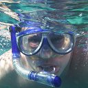 ���� ������, �����-���������, 43 ���� - ��������� 29 ������ 2009 � ������ ���� ����������