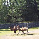 ���� ������, �����-���������, 60 ��� - ��������� 27 ������� 2009 � ������ �������� 2009�