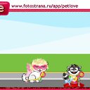  , , 22  -  11  2011   PetLove