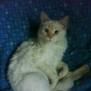 ���� ��������, ���������, 35 ��� - ��������� 13 ���� 2013 � ������ ����� ��� ������������