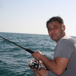 �����, ������, 54 ����