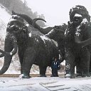 ���� ����, ������, 52 ���� - ��������� 22 ����� 2012 � ������ ���� ����������