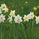 ���� �����, �������������, 25 ��� - ��������� 28 ���� 2013 � ������ ������������. ������� ��������� ����������� 2010.�