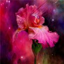  ~~,  -  4  2010   Carol Cavalaris,      .