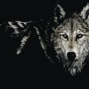 ���� �����, �����-�������� - ��������� 4 �������� 2012 � ������ �� ���� � ���� ������� ���.�