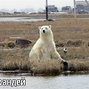 ���� ���������, �����, 59 ��� - ��������� 12 ����� 2013