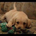 ���� �����, ���� - ��������� 25 ������� 2013 � ������ ���� ������ ������� �����, ��� ������ �������� ������)))�