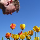 ���� ����, ����������, 46 ��� - ��������� 17 ������ 2012 � ������ �������