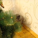 ���� ������, ������ - ��������� 24 ������� 2013 � ������ ���� ������� ))�