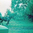 ���� �������, ������ - ��������� 10 ������ 2010 � ������ ���� ����������