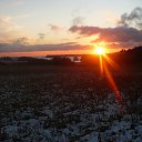 ������ �� ������� ���� ����������