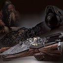 ���� �������, ���������, 37 ��� - ��������� 13 ���� 2009 � ������ �������������