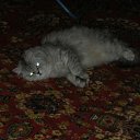 ���� Svetlanas, ���������, 47 ��� - ��������� 7 ���� 2010 � ������ ���� �������