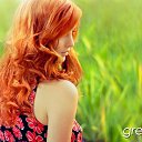 ���� ��������, ������ - ��������� 30 ������ 2013 � ������ ���� ����������