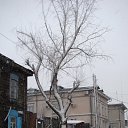 ���� Ju Kusenkova, �������, 38 ��� - ��������� 20 ��� 2010 � ������ �20 ��� 2010 ���