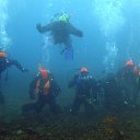 ���� ������, ������, 60 ��� - ��������� 4 ����� 2012 � ������ �� ������� ���������