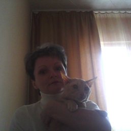 ���� �������, ����������, 53 ���� - ��������� 23 ������ 2012