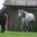 ���� �����, ���������, 60 ��� - ��������� 11 ������� 2012 � ������ �������