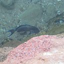 ���� �����, �����-��������� - ��������� 7 ������ 2013 � ������ ���� ����������