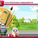 ���� �����, �������, 43 ���� - ��������� 5 ������� 2010 � ������ �PetLove�