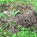 ���� ������, ������� - ��������� 18 ������� 2011 � ������ ���� ����������