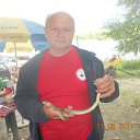  Markiz777, , 63  -  1  2012    