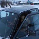 ���� ((�������)), ����-����������� - ��������� 2 ��� 2013 � ������ ���� ����������
