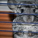 ���� ����������, �������, 26 ��� - ��������� 23 �������� 2010 � ������ �������� ���������ջ