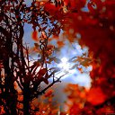 ���� �����, ����� - ��������� 23 ���� 2013 � ������ ���������