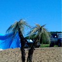 ��� � ����� �� ������� �������